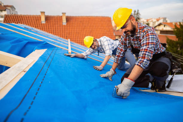 Best Roof Leak Repair  in Erie, KS