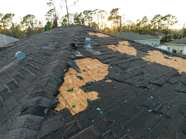 Best Steel Roofing  in Erie, KS